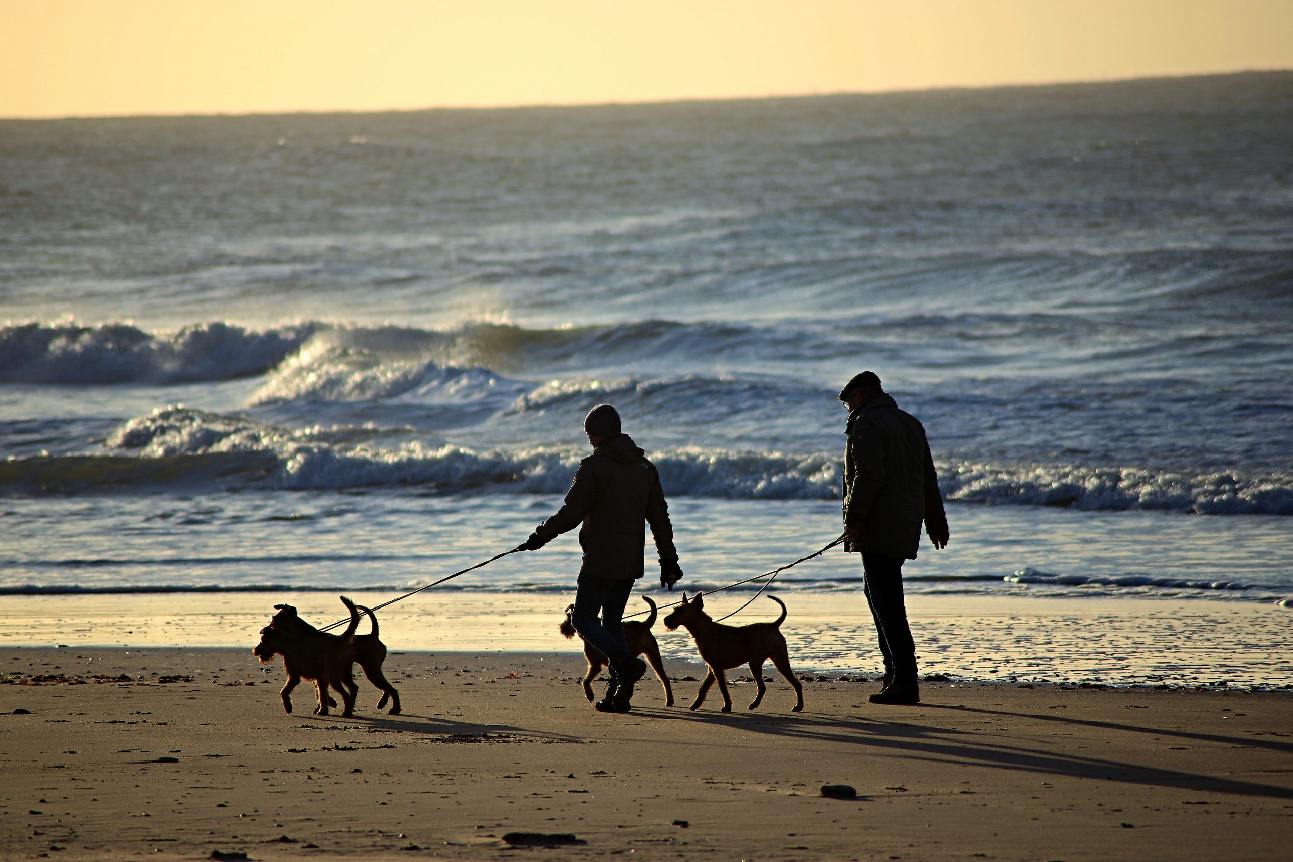 Hundebesitzer gehen mit ihren Hunden am Strand in Travemünde spazieren
